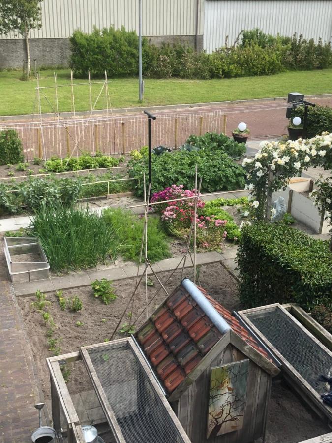 Bij Van Der Veer Julianadorp Bagian luar foto